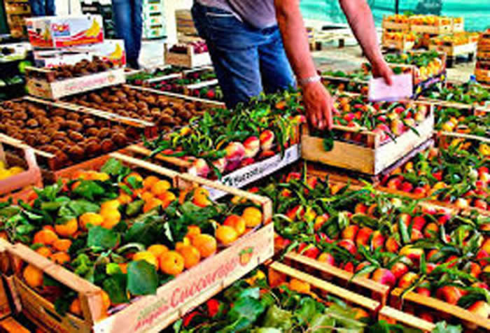 mercato ortofrutticolo taviano